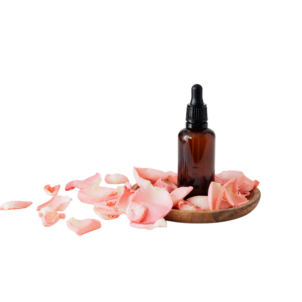 Perfume & Fragrances